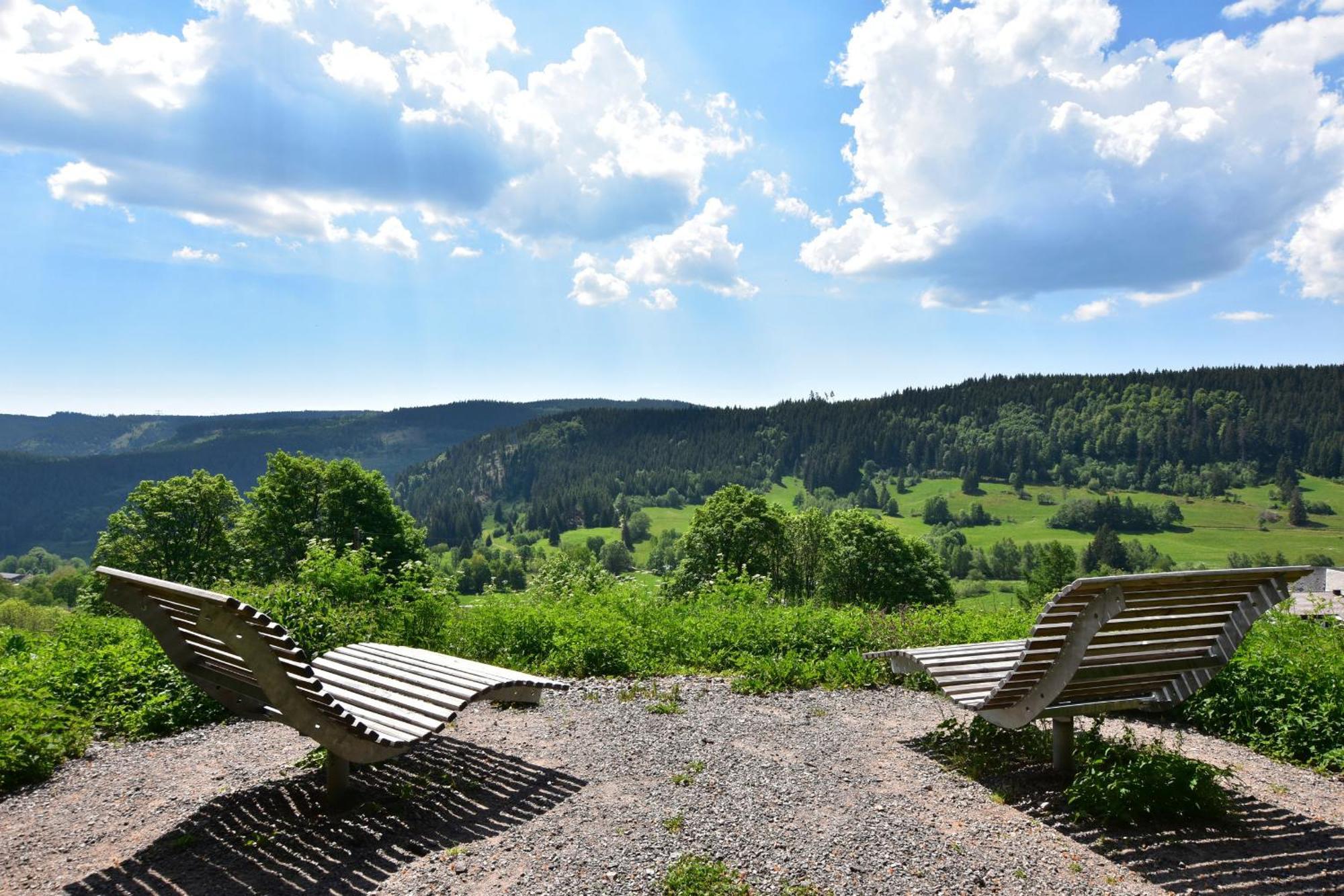 Schwarzwaldhaus Krebs - Villa Kunterbunt, Lenzkirch, Feldberg Esterno foto